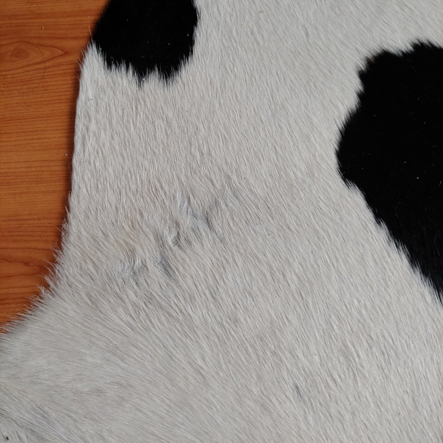 Beautiful Luxury Brazilian Cow Hide Area Rug 6x7