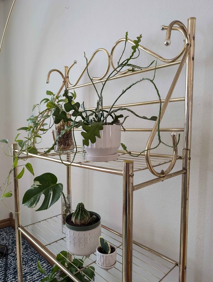 Postmodern Vintage 3 Tiered Indoor Brass Shelf / Plant Stand