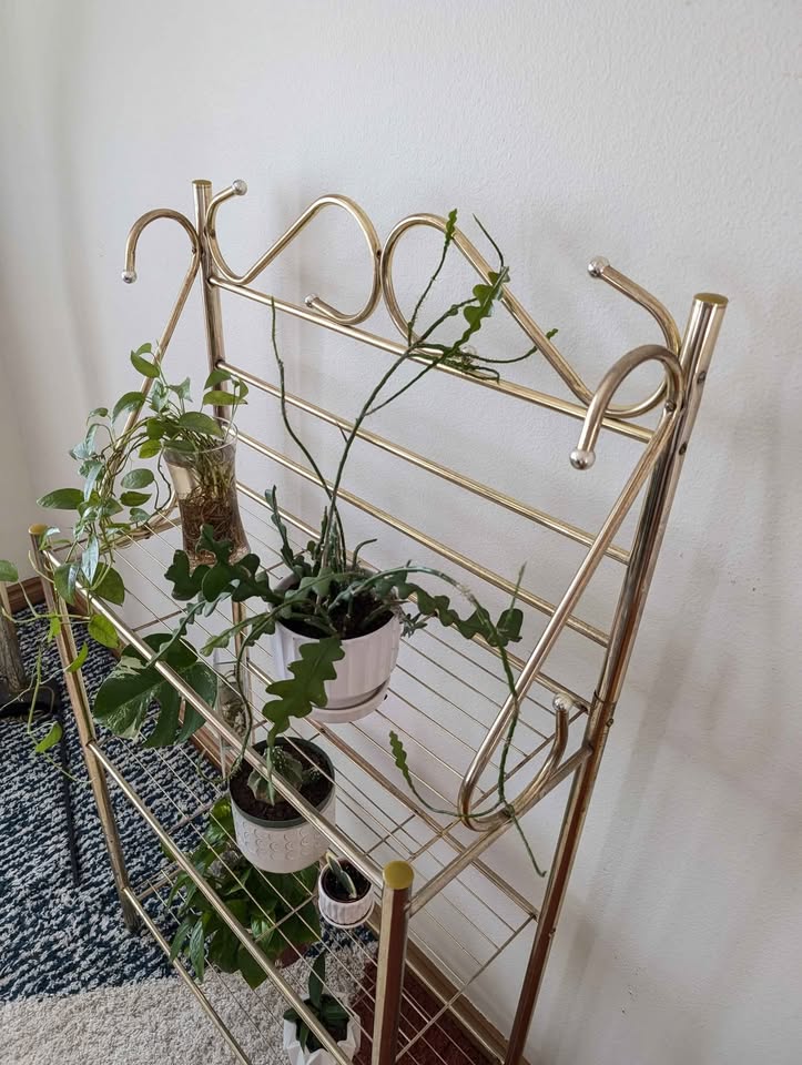 Postmodern Vintage 3 Tiered Indoor Brass Shelf / Plant Stand