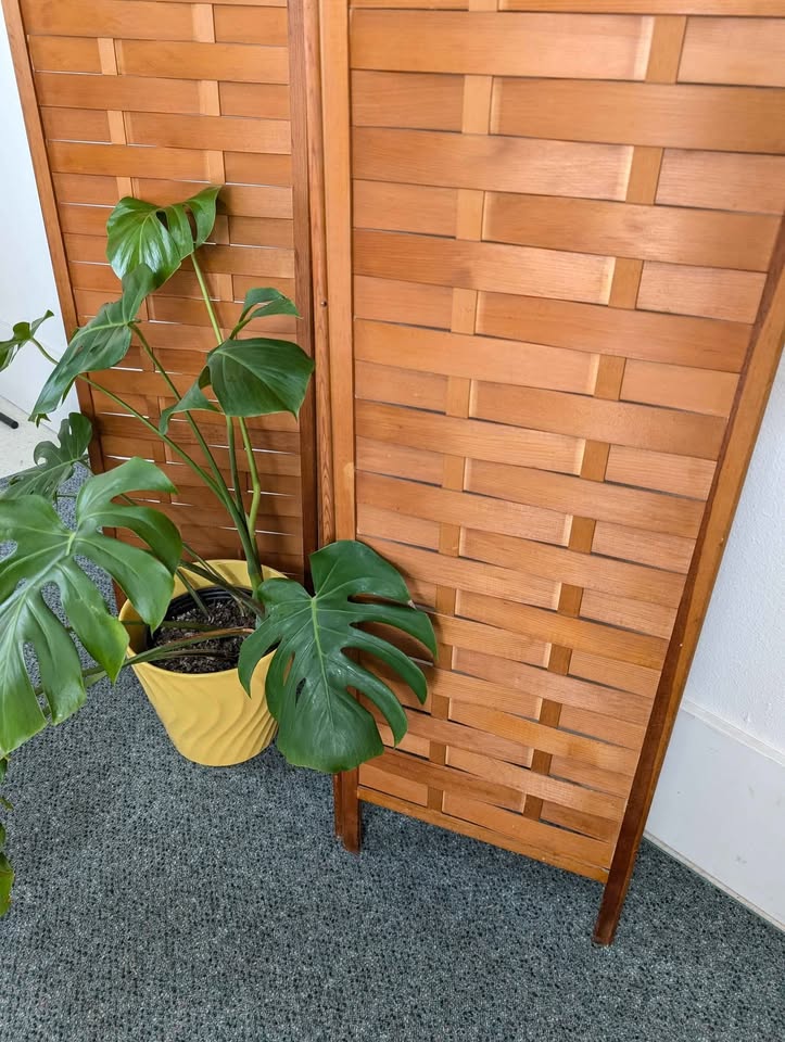 Vintage MCM 3 Panel Teak Room Divider