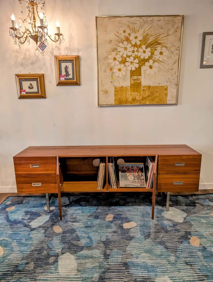 Walnut & Steel Media Credenza & Vinyl Record Storage