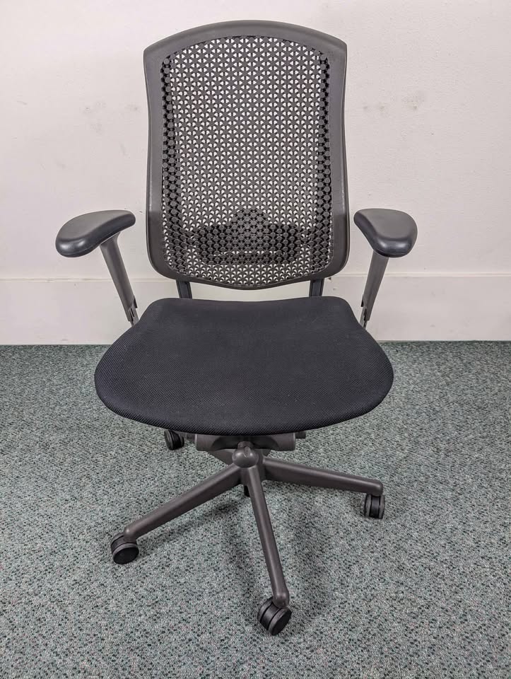 Herman Miller Executive Desk Chair