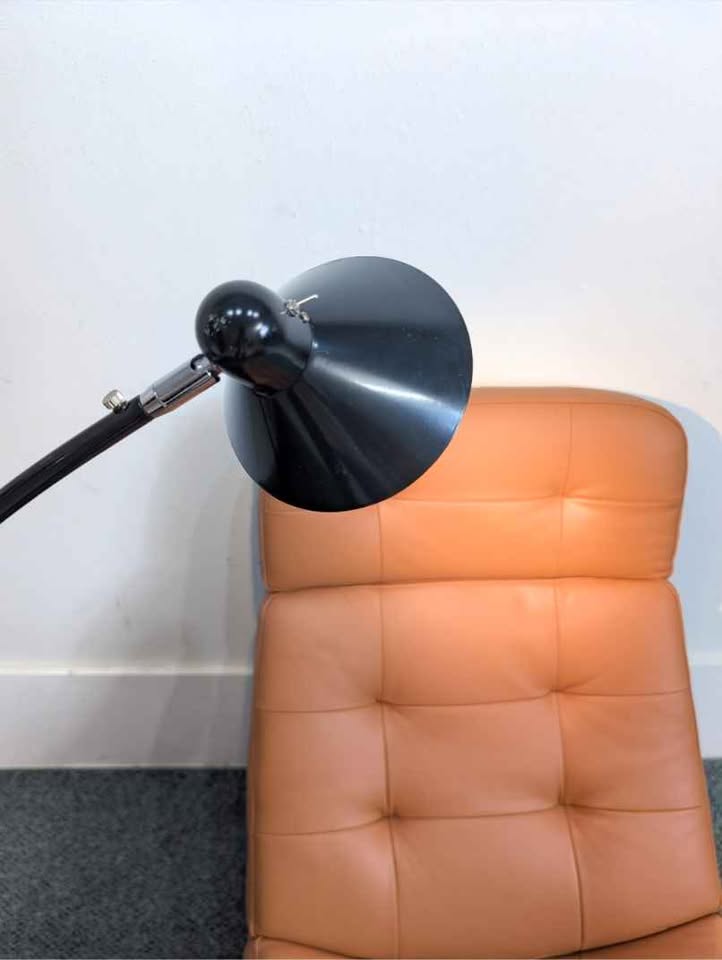 IKEA Alunit Black Swiveling Reading Floor Lamp