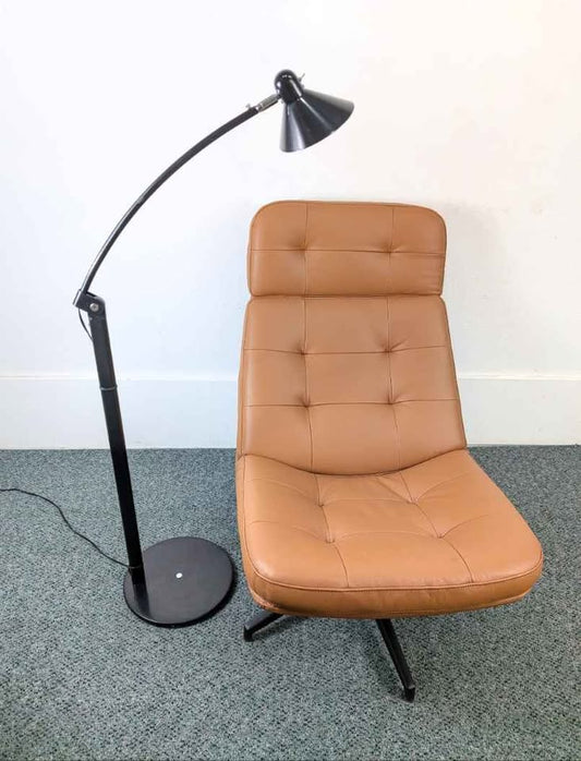 IKEA Alunit Black Swiveling Reading Floor Lamp