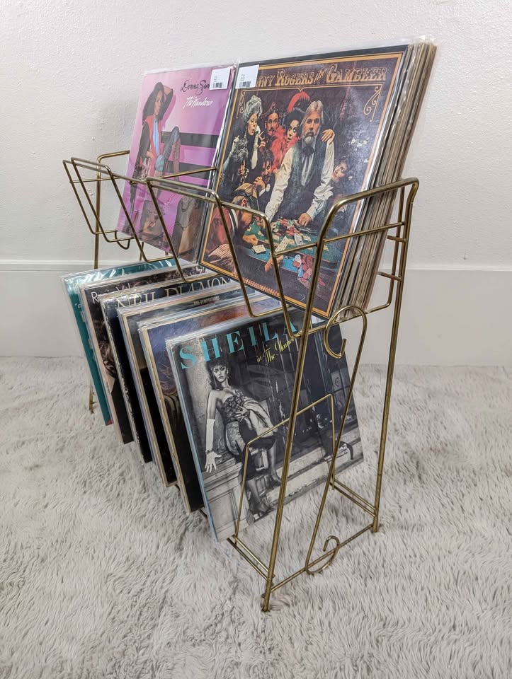 MCM Brass Wire Rack Vinyl Record Storage Bin