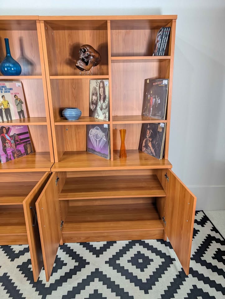 Scandinavian Record / Bookshelf Wall Unit w/ Storage Cabinets