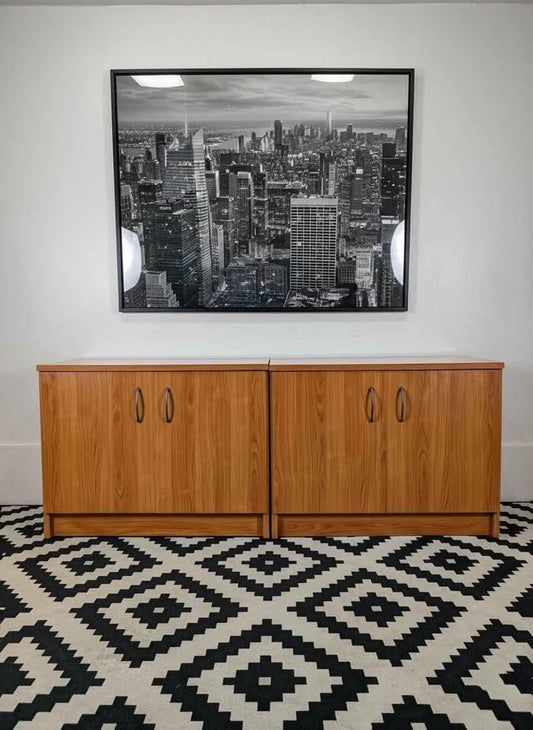 Danish Modern Double Door Record Storage Credenzas