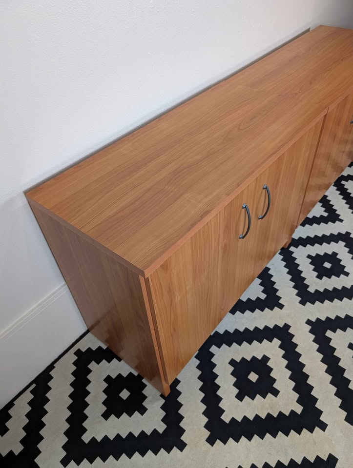 Danish Modern Double Door Record Storage Credenzas