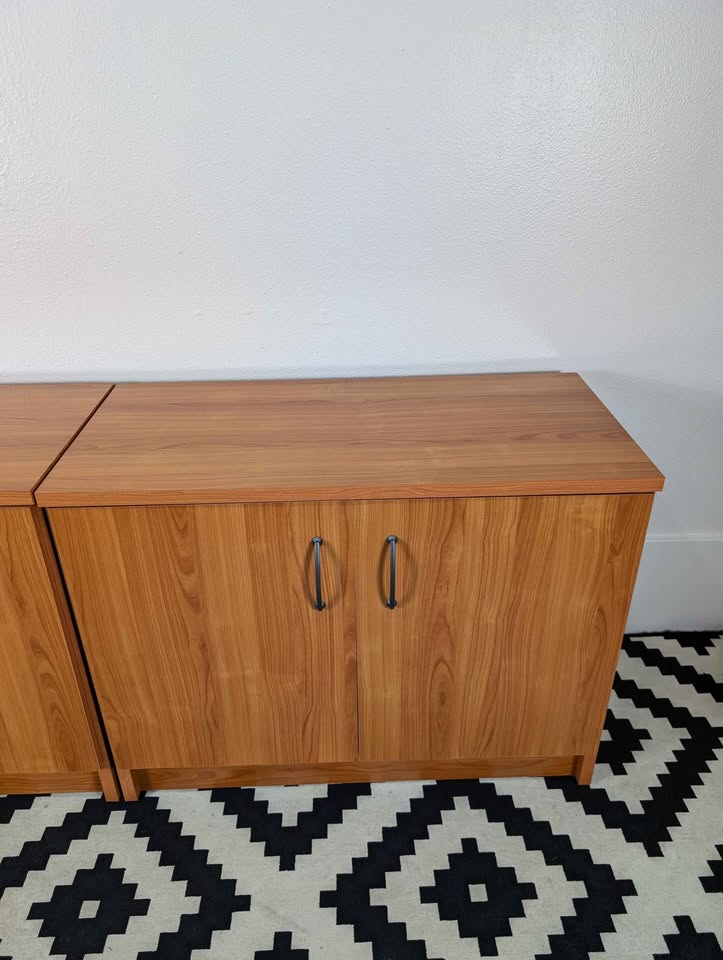 Danish Modern Double Door Record Storage Credenzas