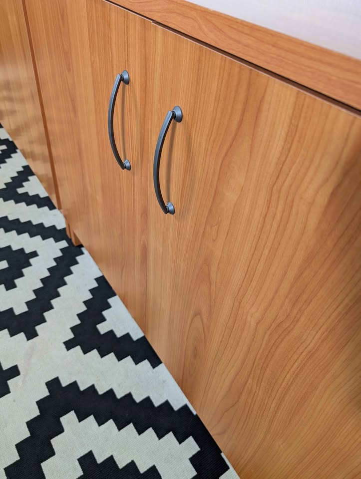 Danish Modern Double Door Record Storage Credenzas