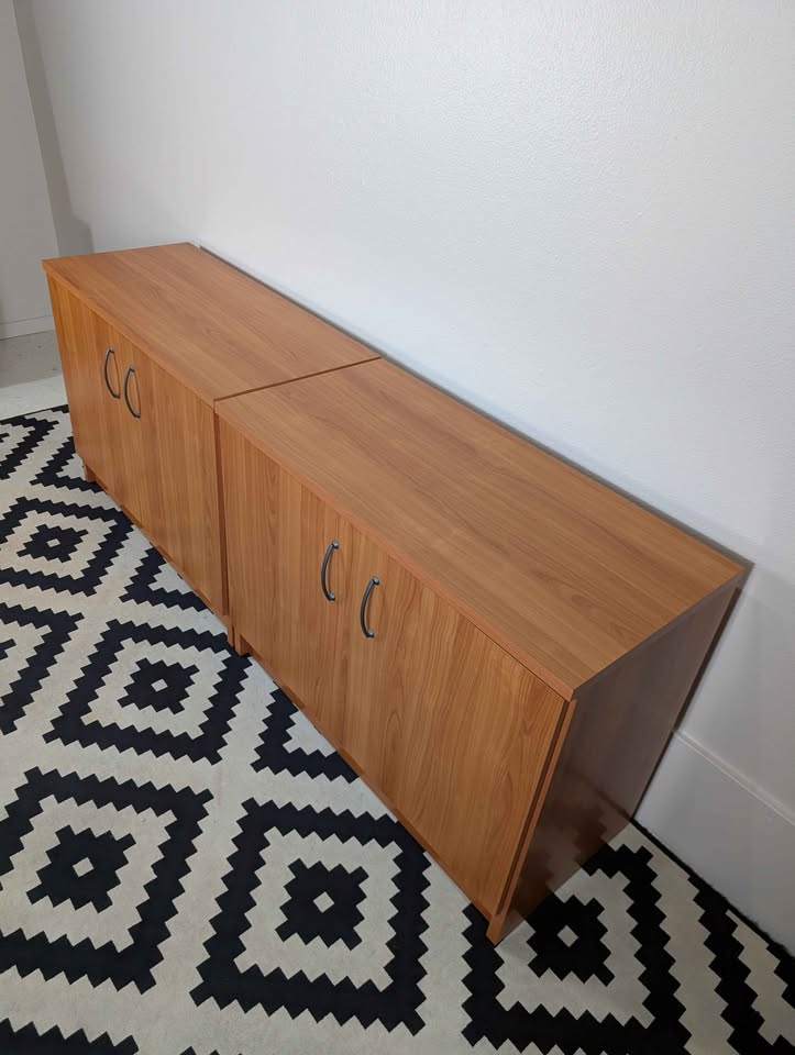Danish Modern Double Door Record Storage Credenzas